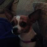 Bryce Mckenney - @snowhite_69 - Instagram