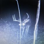 Bryce McKinney - @brycemckinney6 - Instagram