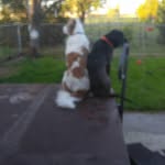 Bryce Mortensen - @bryce_mortensen23041 - Instagram