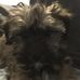 Bryce Moss - Facebook