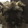 brycemoss97 - @brycemoss97 - TikTok
