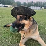 Bryce Patrick - @herculesdad222 - Instagram