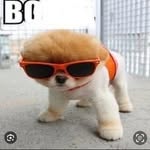 Bryce Patrick - @br.yce7459 - Instagram