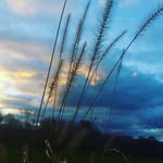 bryce Rigby 277 - @brycerigby - Instagram