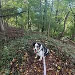 Bryce Rigby - @bryce_rigby36 - Instagram