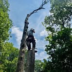Bryce Robinson - Facebook
