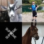 Bryce Schroeder - @bryceschroeder51 - Instagram