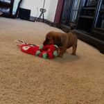 Bryce Sullivan - @brycesullivan10 - Instagram