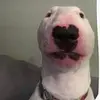 Bryce Warren10 - @bryce.warren - TikTok