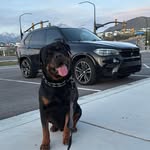 Bryce Watson - @brycewattson - Instagram