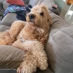 Bryce - @bryce_waugh_ - Instagram