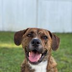 Axel Bryce Winter - @axel_bryce_winter - Instagram