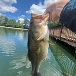 Bryce Wright - @brycewright34 - Instagram