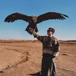Bryce Yang - @yangbryce - Instagram