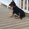 12345685634 - @bryerrose266 - TikTok