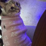 Brylee lyons - @bryleelyons12 - Instagram