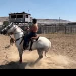 bryn abbott - @wyomingbarrelracer - Instagram