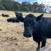 Bryn - @bryn_barber - TikTok