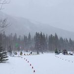 Bryn Black - @wa_biathlon_association - Instagram