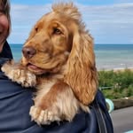 Bryn - @bryn_in_brighton - Instagram