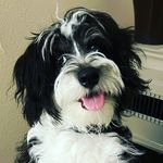 Bryn Buchanan - @bbuchanan101 - Instagram