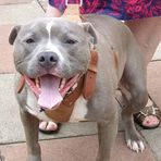 Bryn Chambers - Facebook