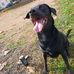 Brian Chissac - Facebook