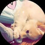 Millie Bryn Cooper - @milliebryn - Instagram