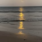 Bryn Cox - Facebook
