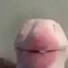 bryn - @bryndavis5 - TikTok