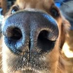 Bryn Davis - @brynmordavis - Instagram
