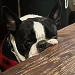 Bryn Doherty - @bryn.doherty - Instagram