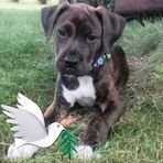 Brynn Doherty - Facebook