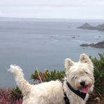 Bryn Ellis - Facebook