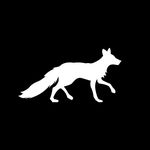 Bryn Fox - @foxtoybox - Instagram