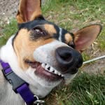 Bryn Gillem - @bryn.gillem - Instagram