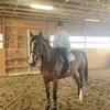 bryn - @bryngrahameq1 - TikTok