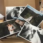 Bryn Green - Facebook