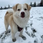 Bryn - @bryn_hall - Instagram