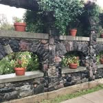 Bryn Hall - @brynsveganfinsta - Instagram