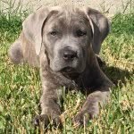 Bryn (Hall) Jarvis - @bhjarvis04 - Instagram