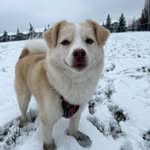 Bryn (not Bryan) - @b.r.y.n.h.a.l.l - Instagram