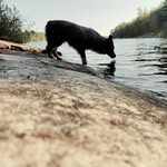 Bryn Hanson - @bryn_hanson - Instagram