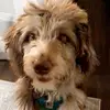 brynn.harper - @brynn.harper - TikTok
