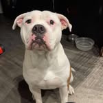 Bryn Howard - @bryn.h.372 - Instagram