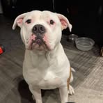 Bryn Howard - Facebook
