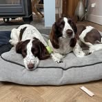 Bryn Howard - Facebook