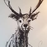 Bryn Howell - @brynhowell - Instagram