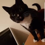 Bryn - @bryn__james - Instagram