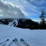 Bryn Jensen - @brynjensen1 - Instagram
